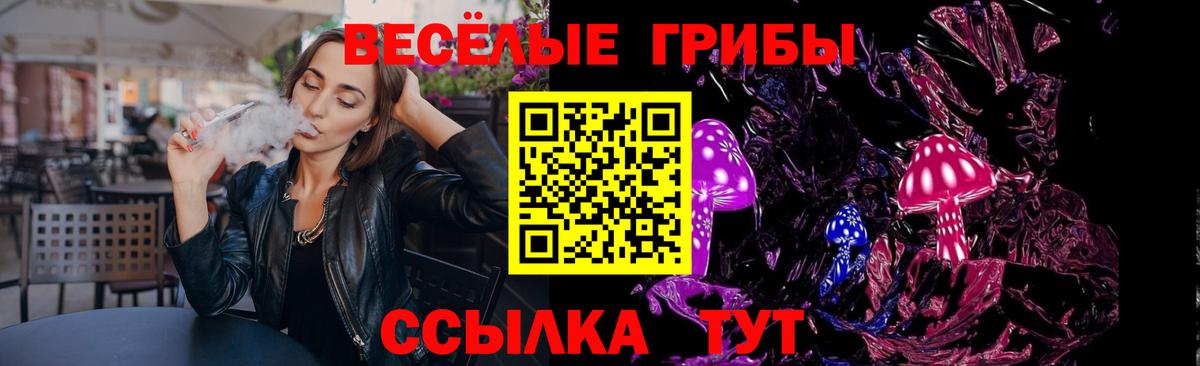 Псилоцибиновые грибы MAGIC MUSHROOMS  Вход с VPN  Новоалтайск  Галлюциногенные грибы мицелий 